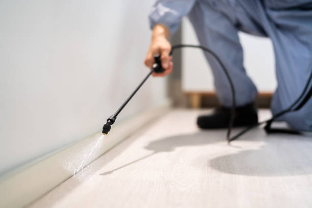 Rodent Entry Point Assessment in Grandville