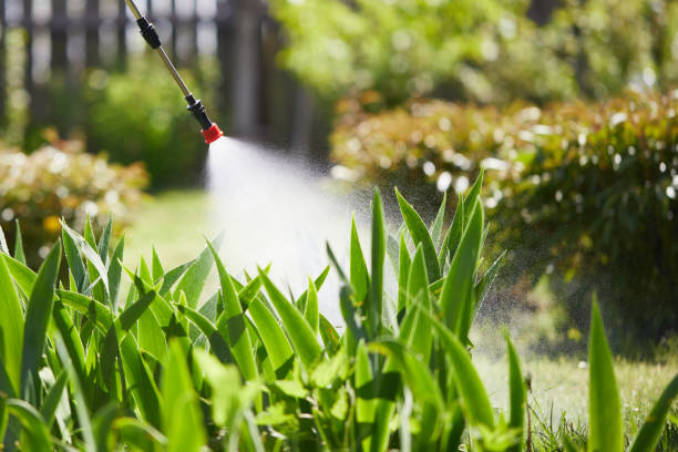Tamper-Resistant Bait Stations for Rodents in Grandville