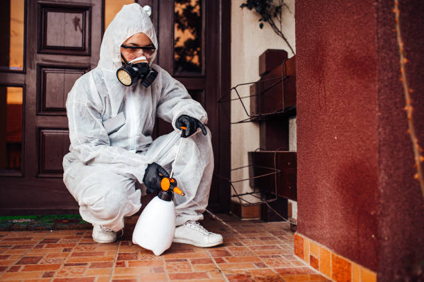 Attic and Crawl Space Rodent Treatment in Grandville
