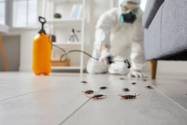 Commercial Rodent Management in Grandville